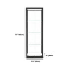 Modern Glass Black Curio Cabinet with Adjustable Shelves