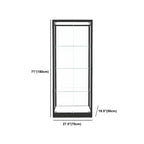 Modern Glass Black Curio Cabinet with Adjustable Shelves