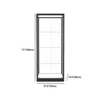 Modern Glass Black Curio Cabinet with Adjustable Shelves