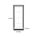 Modern Glass Black Curio Cabinet with Adjustable Shelves