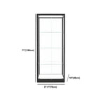 Modern Glass Black Curio Cabinet with Adjustable Shelves