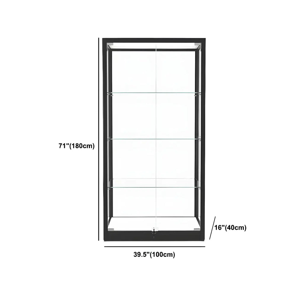 Modern Glass Black Curio Cabinet with Adjustable Shelves