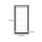 Modern Glass Black Curio Cabinet with Adjustable Shelves