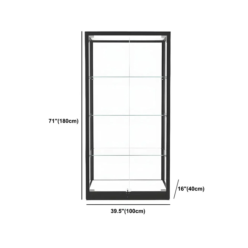 Modern Glass Black Curio Cabinet with Adjustable Shelves