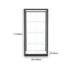 Modern Glass Black Curio Cabinet with Adjustable Shelves