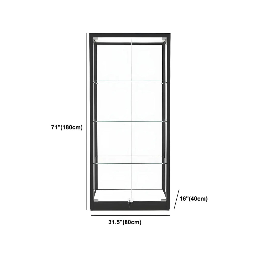 Modern Glass Black Curio Cabinet with Adjustable Shelves