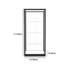 Modern Glass Black Curio Cabinet with Adjustable Shelves