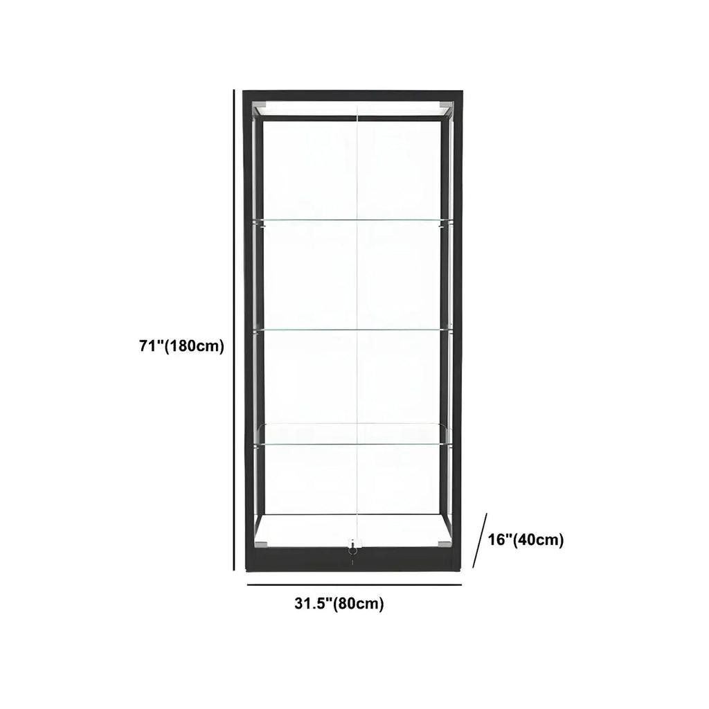 Modern Glass Black Curio Cabinet with Adjustable Shelves