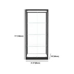 Modern Glass Black Curio Cabinet with Adjustable Shelves