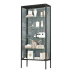 Black Metal Frame Glass Shelves Curio Cabinet