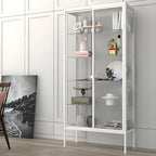 Black Metal Frame Glass Shelves Curio Cabinet