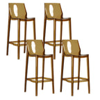 Modern Acrylic Vibrant Durable Colourful Sleek Bar Stool