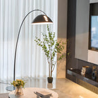 Black Dome Iron Arched Floor Lamp with Foot Switch