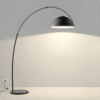 Black Dome Iron Arched Floor Lamp with Foot Switch