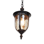 Classic Rustic Black Iron Frame Outdoor Hanging Light Fixture