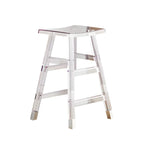 Vibrant Colors Acrylic Chic Coffee Chair Stackable Bar Stool