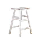 Vibrant Colors Acrylic Chic Coffee Chair Stackable Bar Stool